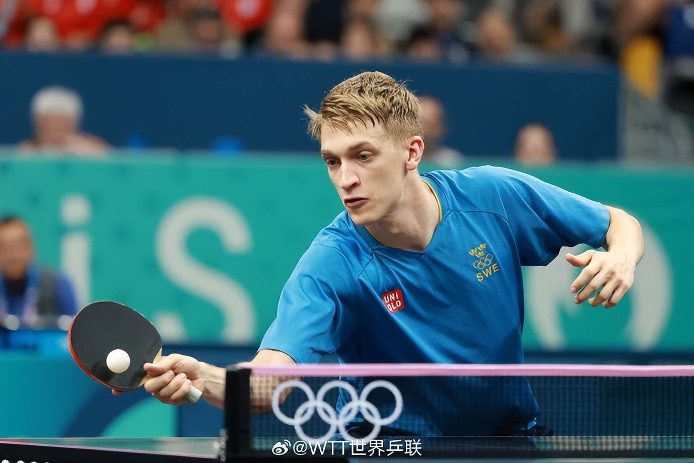 关于德国乒乓球队绝杀中国乒乓球队，波尔统治全场的信息