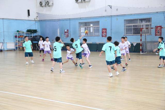 PG电子线上登入-关于手球比赛中选手团队配合默契，力挺冠军的信息