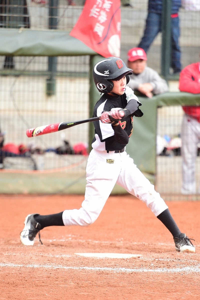 PG电子APP链接-瑞士队意外战胜波兰，气势如虹挺进四强的简单介绍