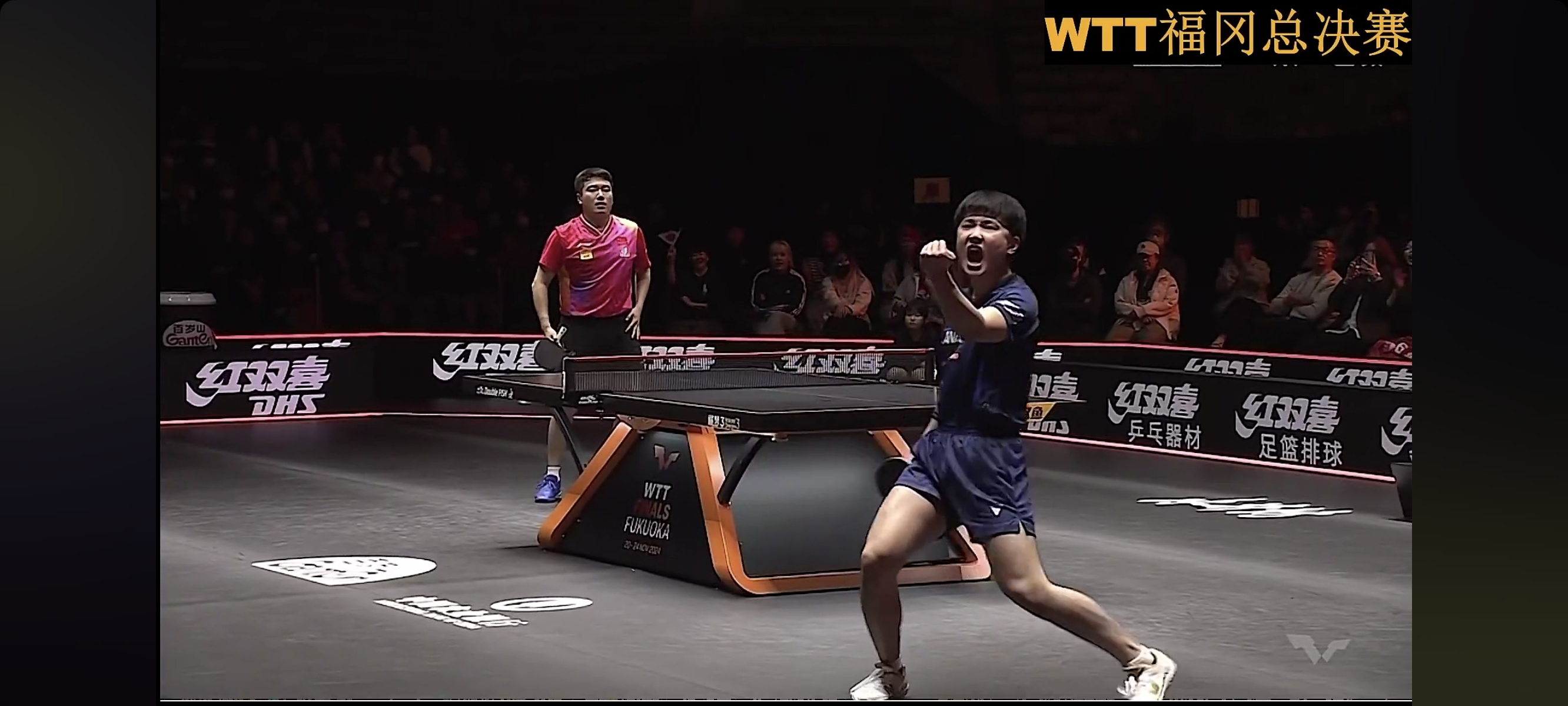 包含奥地利队翻盘日本队，张本智和惊艳四座的词条