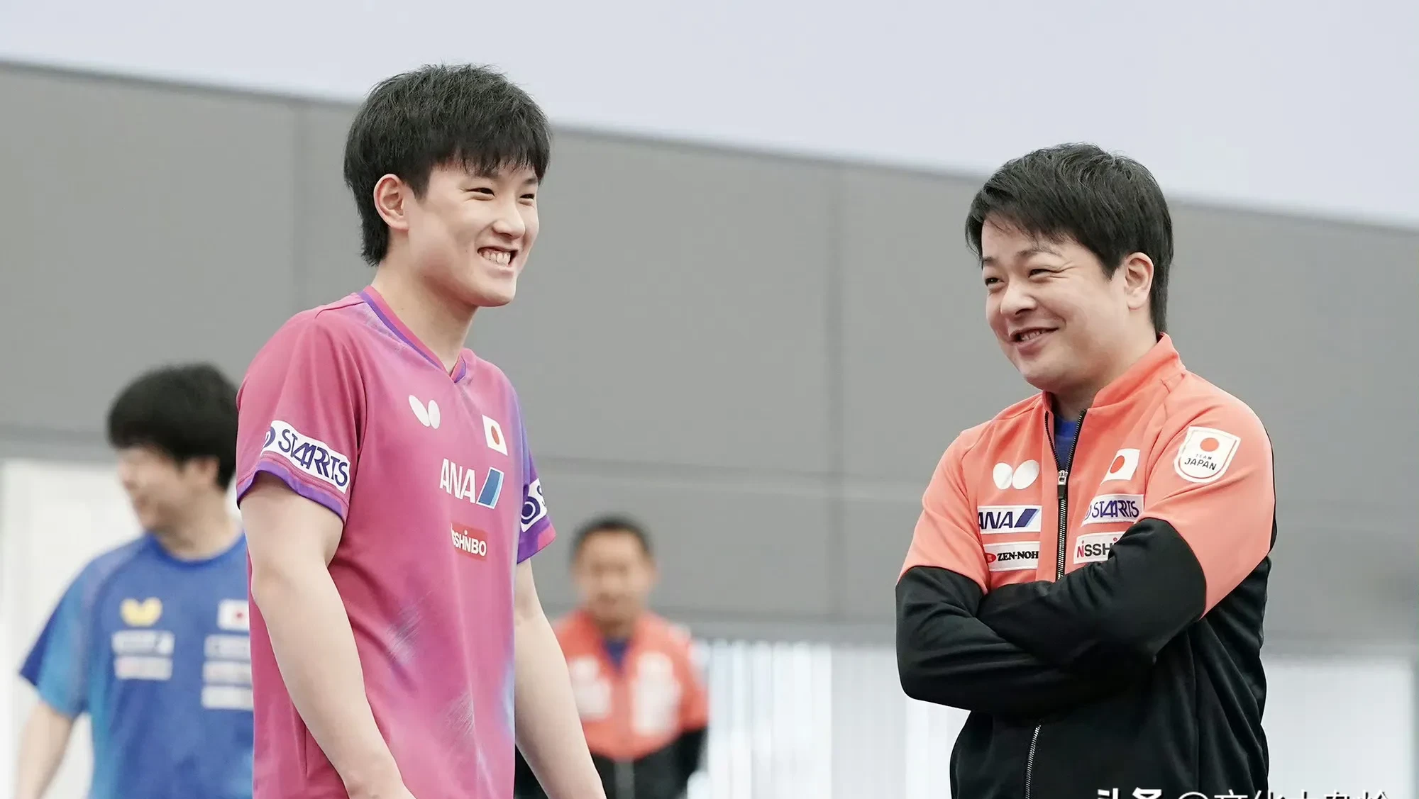 韩国队险胜波兰队，张本智和惊艳四座的简单介绍